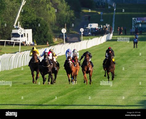 horse racing results lingfield|14:54 Lingfield .